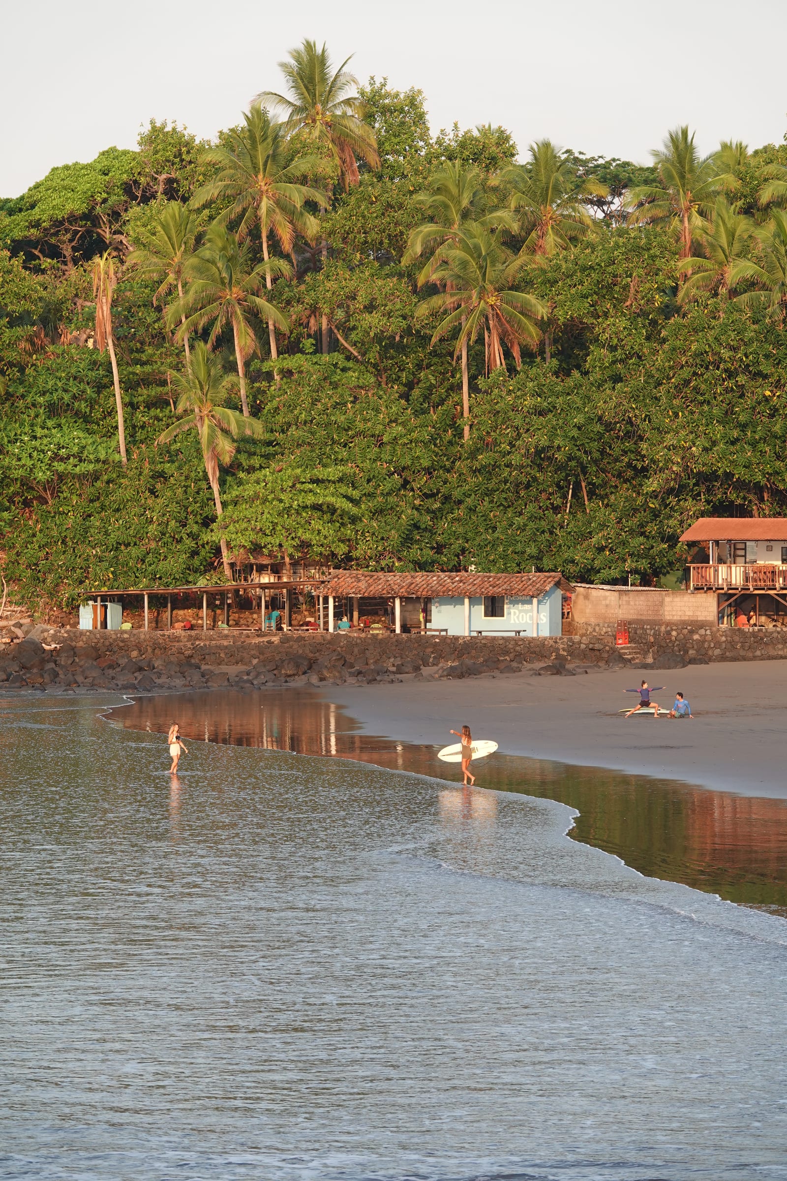 Surfers walking along a palm-lined beach in El Salvador