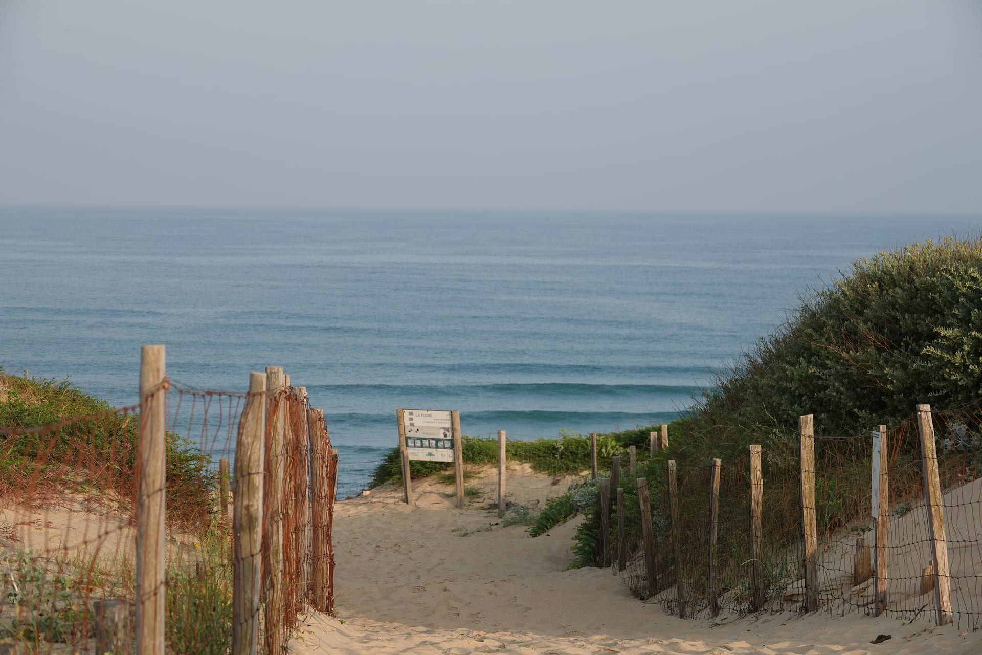 Sandy path through the dunes leading to the surf in France