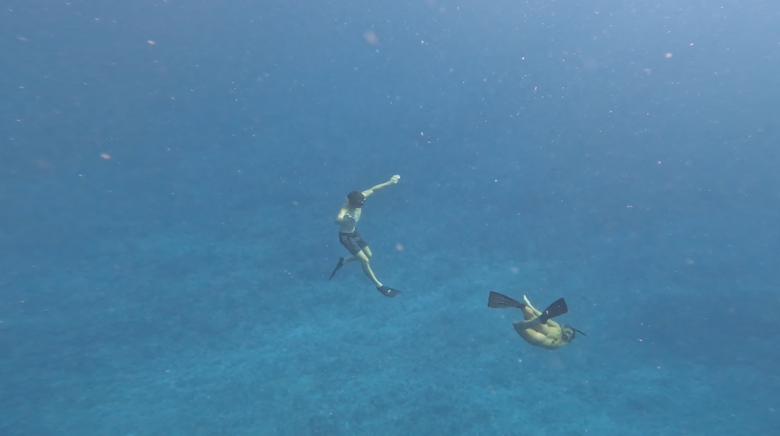 Snorkelers swimming in deep blue Mentawai water