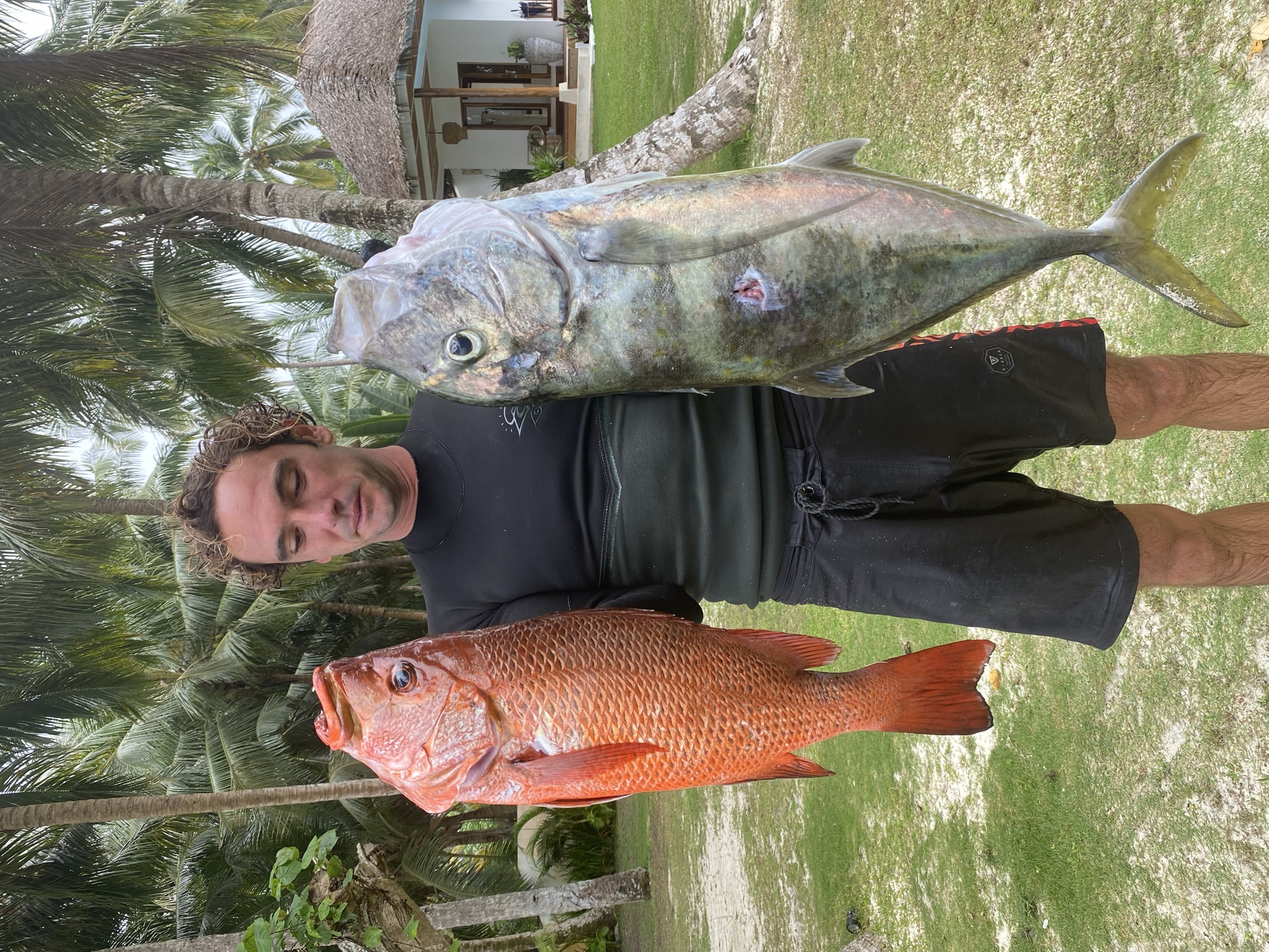 Spearfisher diving over a reef in clear Mentawai water